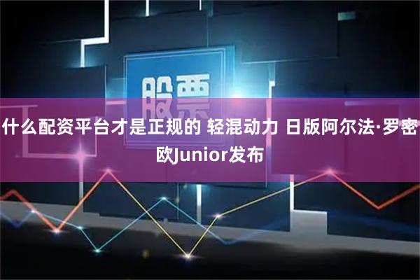 什么配资平台才是正规的 轻混动力 日版阿尔法·罗密欧Junior发布