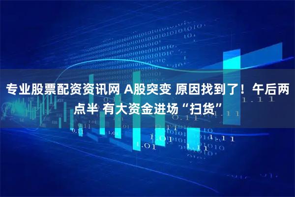 专业股票配资资讯网 A股突变 原因找到了!午后两点半 有大资金进场“扫货”
