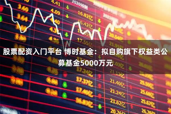 股票配资入门平台 博时基金：拟自购旗下权益类公募基金5000万元